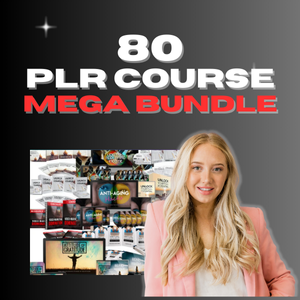 80 x PLR Course Mega Bundle